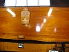 Kauritree_3549.jpg