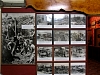 Kauritree_3550.jpg
