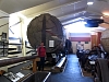 Kauritree_3554.jpg