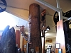 Kauritree_3560.jpg